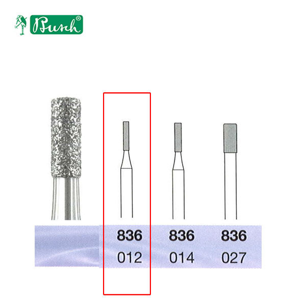[2836012] BUSCH® Fraise en diamant - Grain moyen